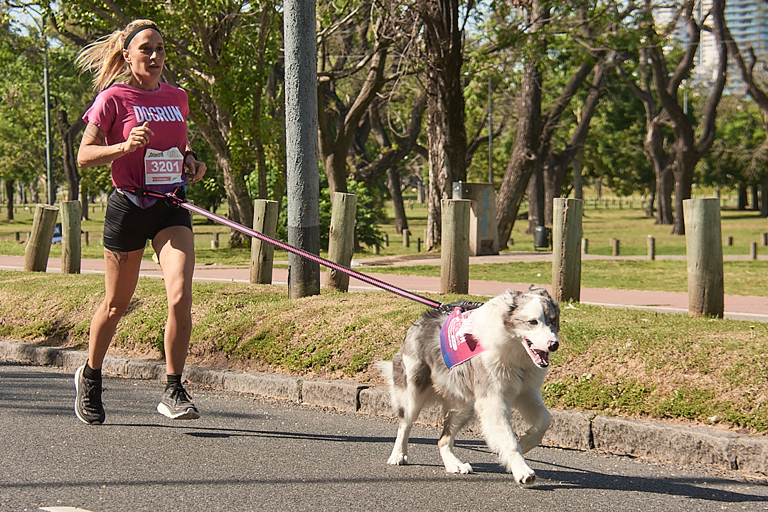 DogRun: Más de 3000 personas corrieron en Palermo